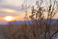 �����Ŀݲ�