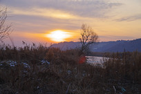 ������ɫ