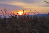 ����ɽ����ɫ