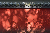 �Ÿ����ú�ǽ�е�����ͶӰ 