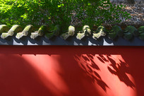 �Ÿ����ú�ǽ�е�����ͶӰ��� 