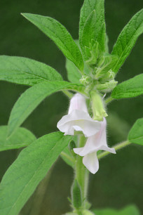 ������������֥�鿪����д 