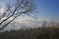 ��ƽתɽ������