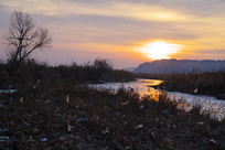 ��嶬����ɫ