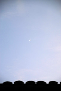 �ߵ�������