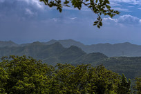 ���̩ɽ���