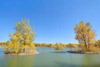 �������ɳĮ�����־����𲨺� 