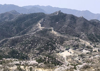 ����ӣ���ı����˴��볤�� 