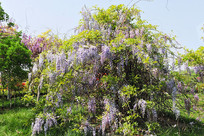 һ��������