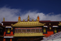 �����½�����д