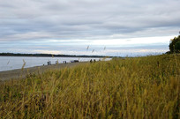 �������ߵ�ʪ��