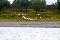 ���ߵ���Ⱥ