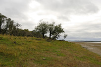 ����ʪ��