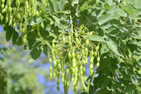 ��ҩ�� ������ʵ��ʵ