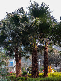 �����̻������