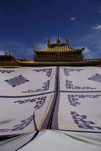 �����½�����д