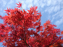 �����µĺ����