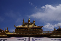 ��Ժ��ɫ�ݶ�