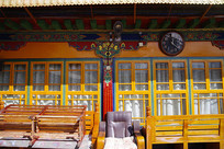 ������Ժ