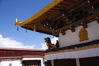 �����ϵĵ���