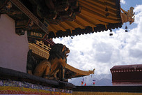 ���޵���