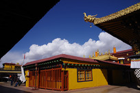 ��Ժ����Ⱥ