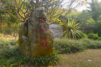 ����԰��԰�����°�����ʯ��