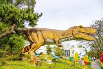 ���������������Ѹ��������