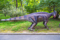 �ڶ�Ѽ�������ͷ��