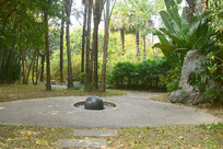 ���ڹ���԰�ֻ��ܲ���԰����Է 