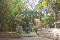 ����԰�ֻ��ܲ���԰���һ�� 