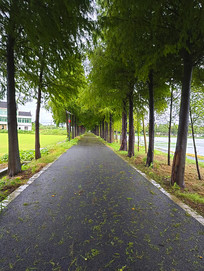 ̨���촵��һ��