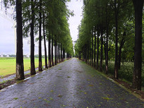 ̨���������