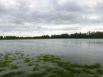 ̨����ʪ��̲Ϳ