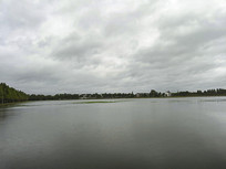 ̨����������