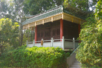 �㶫ï�����Ļ����������� 