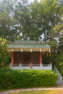 ����԰��԰�㶫ï�������� 