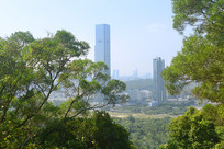 ������� ��ҵ�ϳ���ҵ�ۺ���