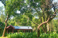 ���ڱʼ�ɽ��԰��ͳ������ 