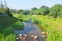 ���ڱʼ�ɽ��԰ ����ӵĶ���ʯ