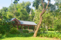 ���ڱʼ�ɽ���ַ�����