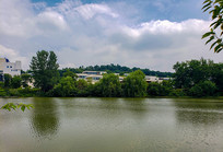 ���ϱ���