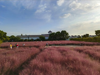 ���շ�ɫ����