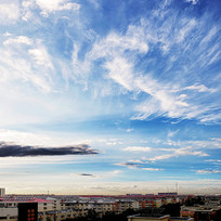 ˿�ư���Ʋ�