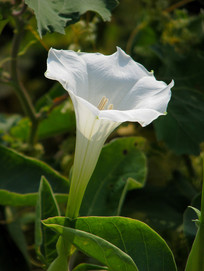 �����µ�һ���ɫ���