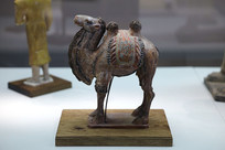 �ʻ�����������  