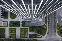 �Ӹ�¥���˸����