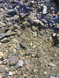 �����峺СȪ