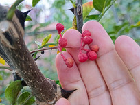 ժ컨