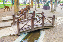 Сľ�űߵļ�ֻ÷��¹